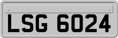 LSG6024