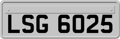 LSG6025