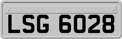 LSG6028
