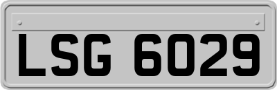 LSG6029