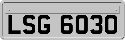 LSG6030