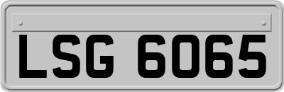 LSG6065