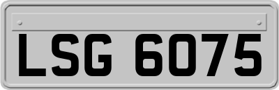 LSG6075