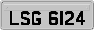 LSG6124