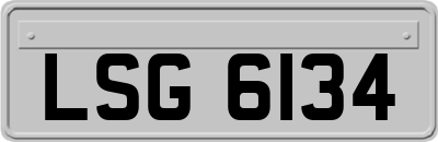 LSG6134