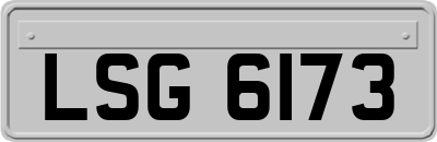 LSG6173