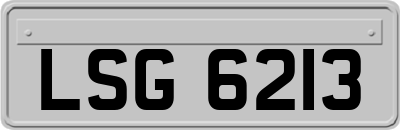 LSG6213