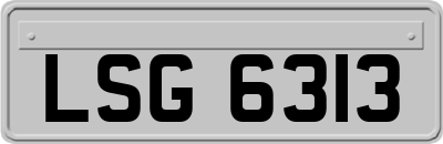 LSG6313