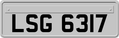 LSG6317