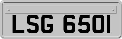 LSG6501