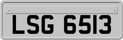 LSG6513