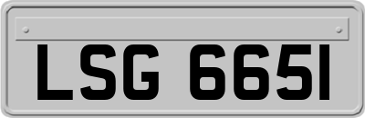 LSG6651
