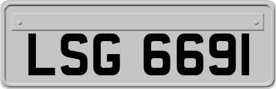 LSG6691