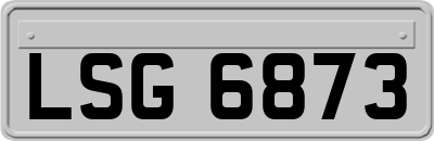 LSG6873