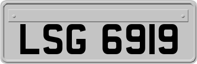 LSG6919