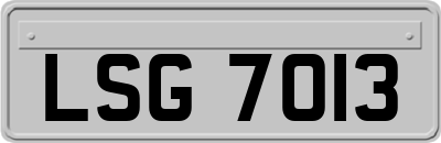 LSG7013