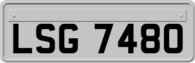 LSG7480