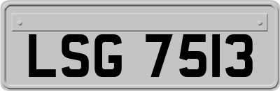 LSG7513