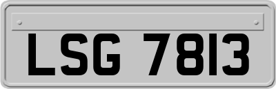 LSG7813