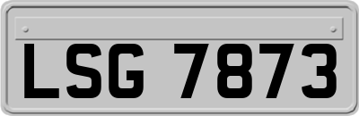 LSG7873