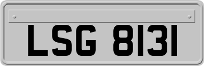 LSG8131