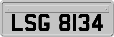 LSG8134