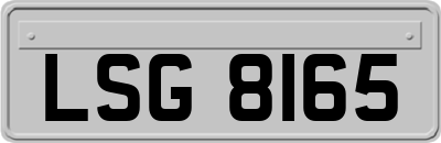 LSG8165