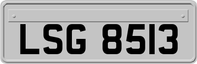 LSG8513