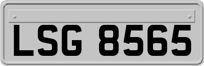 LSG8565