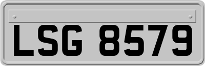 LSG8579