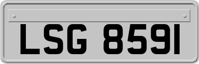LSG8591