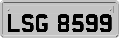 LSG8599