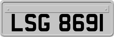 LSG8691