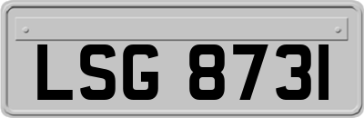 LSG8731