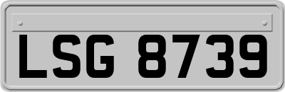 LSG8739