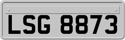 LSG8873