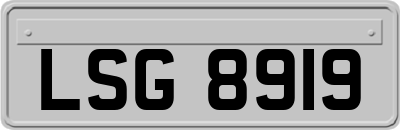 LSG8919
