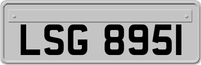 LSG8951