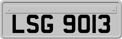 LSG9013