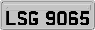 LSG9065