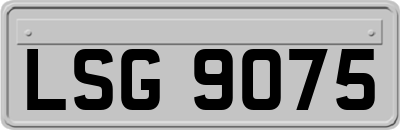 LSG9075