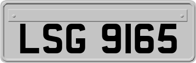 LSG9165