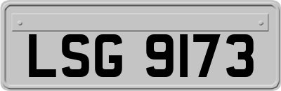 LSG9173