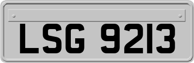 LSG9213