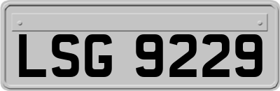 LSG9229
