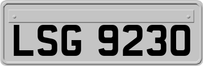 LSG9230