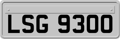 LSG9300