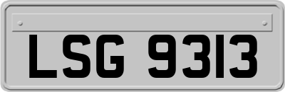 LSG9313