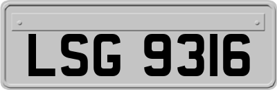 LSG9316