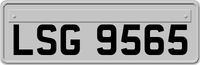 LSG9565